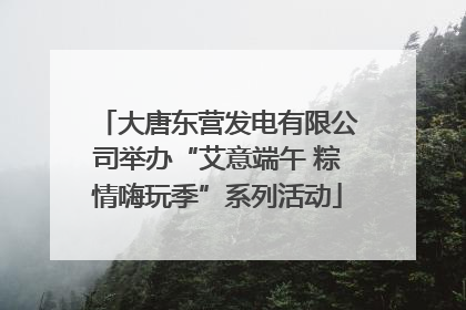 大唐东营发电有限公司举办“艾意端午 粽情嗨玩季”系列活动