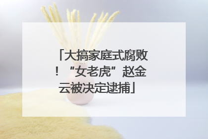 大搞家庭式腐败！“女老虎”赵金云被决定逮捕