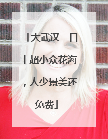 大武汉一日丨超小众花海，人少景美还免费
