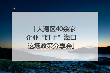 大湾区40余家企业“盯上”海口这场政策分享会