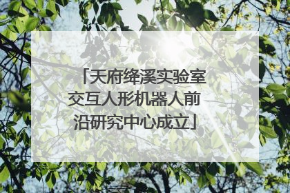 天府绛溪实验室交互人形机器人前沿研究中心成立