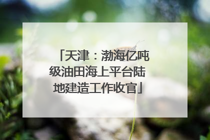 天津：渤海亿吨级油田海上平台陆地建造工作收官