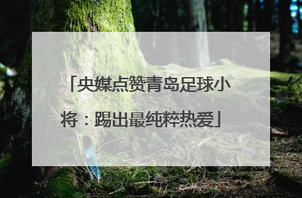 央媒点赞青岛足球小将：踢出最纯粹热爱