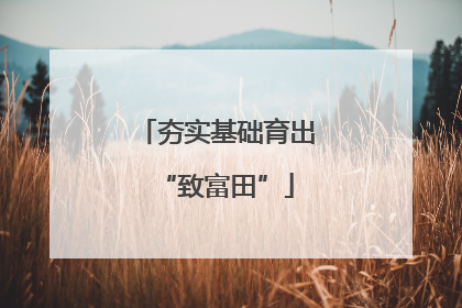 夯实基础育出“致富田”