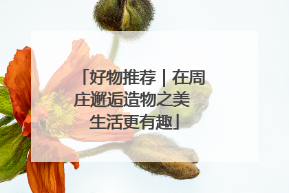 好物推荐｜在周庄邂逅造物之美 生活更有趣