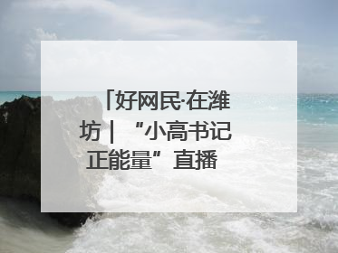 好网民·在潍坊｜“小高书记正能量”直播 带动群众致富