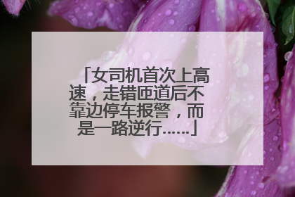 女司机首次上高速，走错匝道后不靠边停车报警，而是一路逆行……