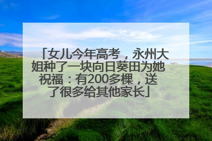 女儿今年高考，永州大姐种了一块向日葵田为她祝福：有200多棵，送了很多给其他家长
