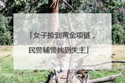 女子捡到黄金项链，民警辅警找到失主
