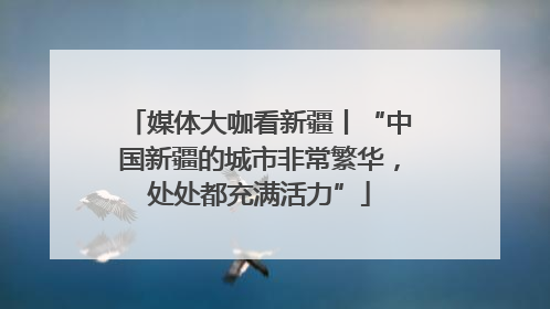 媒体大咖看新疆丨“中国新疆的城市非常繁华，处处都充满活力”