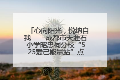 心向阳光，悦纳自我——成都市天涯石小学昭忠祠分校“525爱己能量站”点亮孩子心灵之旅