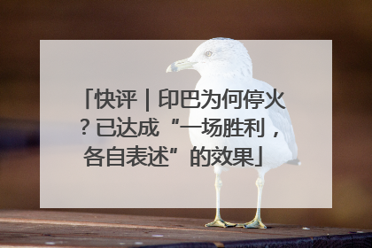 快评｜印巴为何停火？已达成“一场胜利，各自表述”的效果