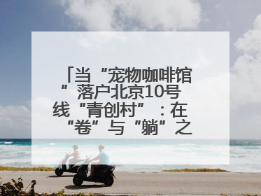 当“宠物咖啡馆”落户北京10号线“青创村”：在“卷”与“躺”之间，他们找到了第三种生活公式