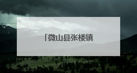 微山县张楼镇人大代表助力“三夏”生产