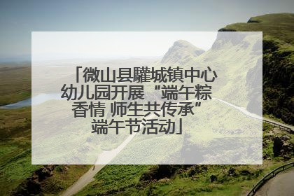 微山县驩城镇中心幼儿园开展“端午粽香情 师生共传承”端午节活动
