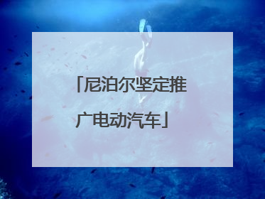 尼泊尔坚定推广电动汽车