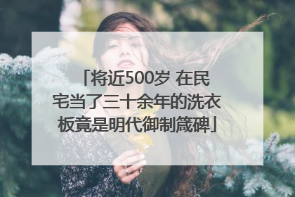 将近500岁 在民宅当了三十余年的洗衣板竟是明代御制箴碑
