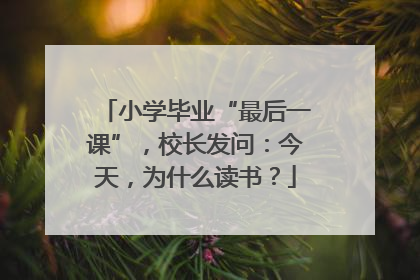 小学毕业“最后一课”，校长发问：今天，为什么读书？