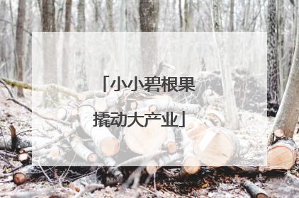 小小碧根果撬动大产业