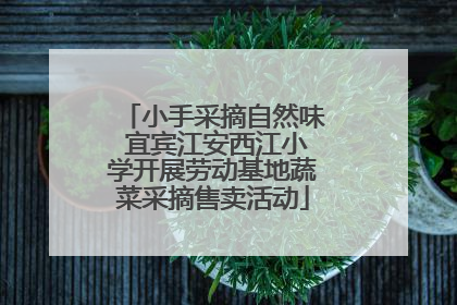 小手采摘自然味 宜宾江安西江小学开展劳动基地蔬菜采摘售卖活动