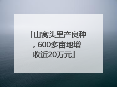 山窝头里产良种，600多亩地增收近20万元