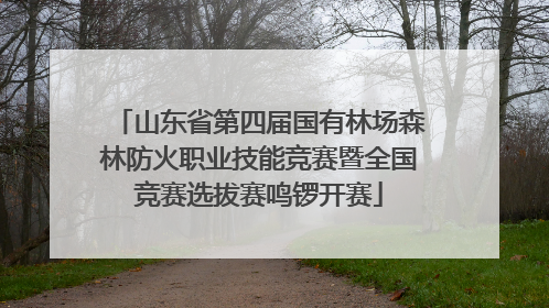 山东省第四届国有林场森林防火职业技能竞赛暨全国竞赛选拔赛鸣锣开赛