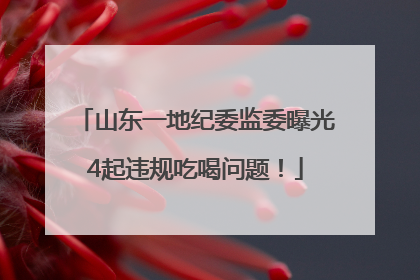 山东一地纪委监委曝光4起违规吃喝问题！