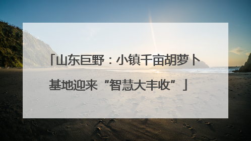 山东巨野：小镇千亩胡萝卜基地迎来“智慧大丰收”