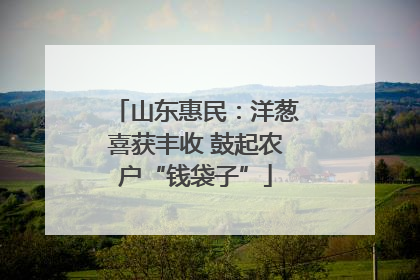 山东惠民：洋葱喜获丰收 鼓起农户“钱袋子”