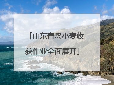 山东青岛小麦收获作业全面展开
