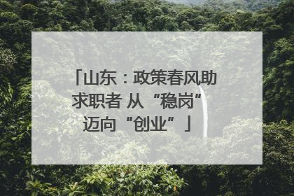 山东：政策春风助求职者 从“稳岗”迈向“创业”