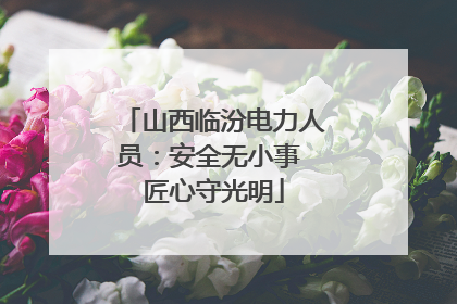 山西临汾电力人员：安全无小事 匠心守光明