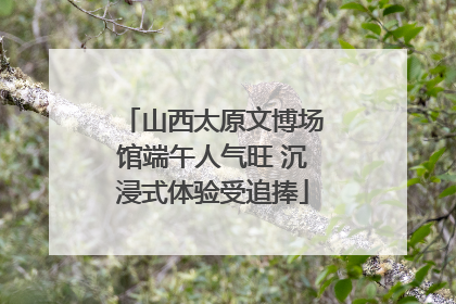 山西太原文博场馆端午人气旺 沉浸式体验受追捧