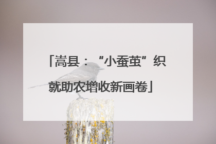 嵩县：“小蚕茧”织就助农增收新画卷