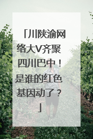 川陕渝网络大V齐聚四川巴中！是谁的红色基因动了？