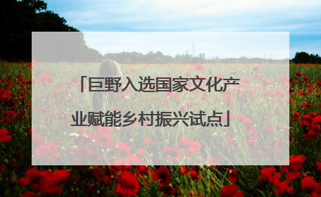 巨野入选国家文化产业赋能乡村振兴试点