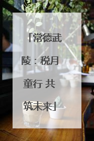 常德武陵：税月童行 共筑未来