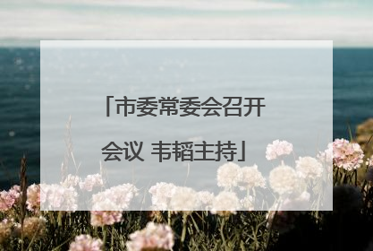 市委常委会召开会议 韦韬主持