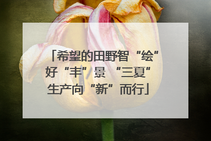 希望的田野智“绘”好“丰”景 “三夏”生产向“新”而行