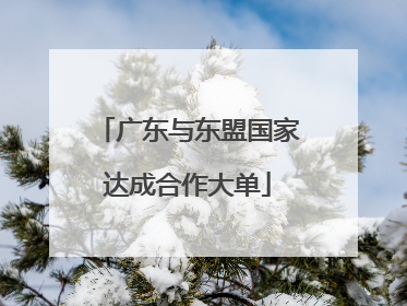 广东与东盟国家达成合作大单