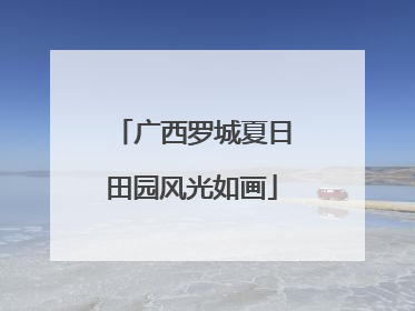广西罗城夏日田园风光如画