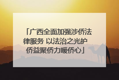 广西全面加强涉侨法律服务 以法治之光护侨益聚侨力暖侨心
