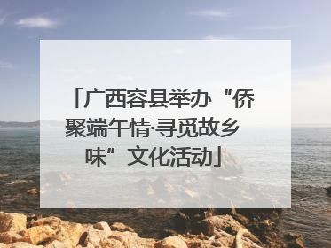 广西容县举办“侨聚端午情·寻觅故乡味”文化活动