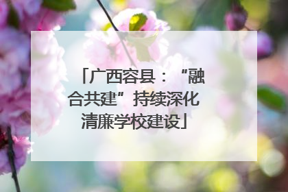 广西容县：“融合共建”持续深化清廉学校建设