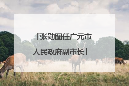 张勋图任广元市人民政府副市长