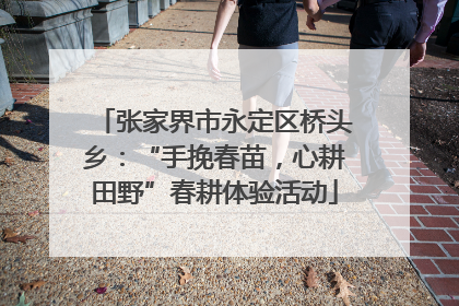 张家界市永定区桥头乡：“手挽春苗，心耕田野”春耕体验活动