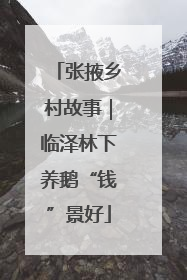 张掖乡村故事｜临泽林下养鹅“钱”景好