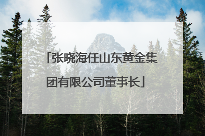 张晓海任山东黄金集团有限公司董事长
