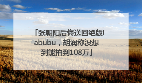 张朝阳后悔送回绝版Labubu，胡润称没想到能拍到108万