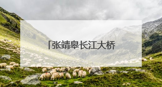 张靖皋长江大桥南航道桥南主塔中横梁成功合龙